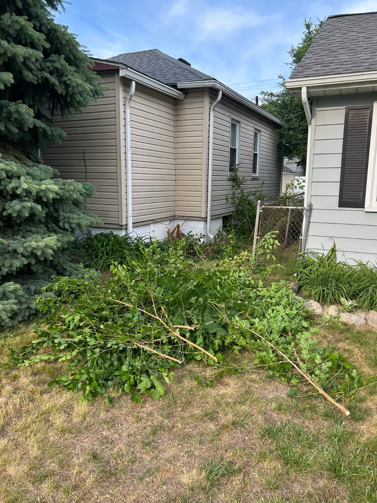 Yard after spring cleanup by Mantis Lawn and Landscape in Rochester, MI