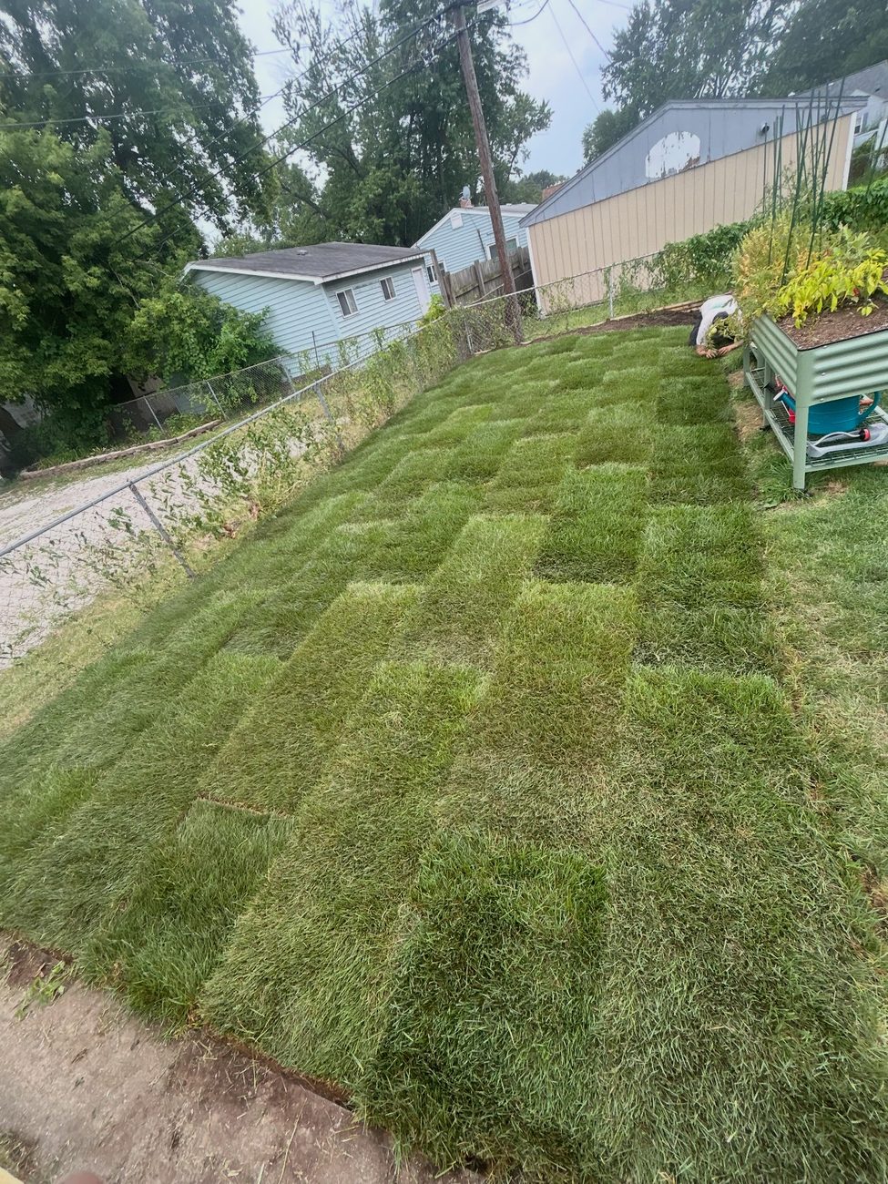 Freshly installed backyard sod on a sloped yard in Rochester, MI
