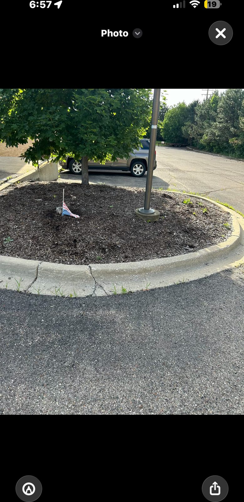 Front bed before mulching service