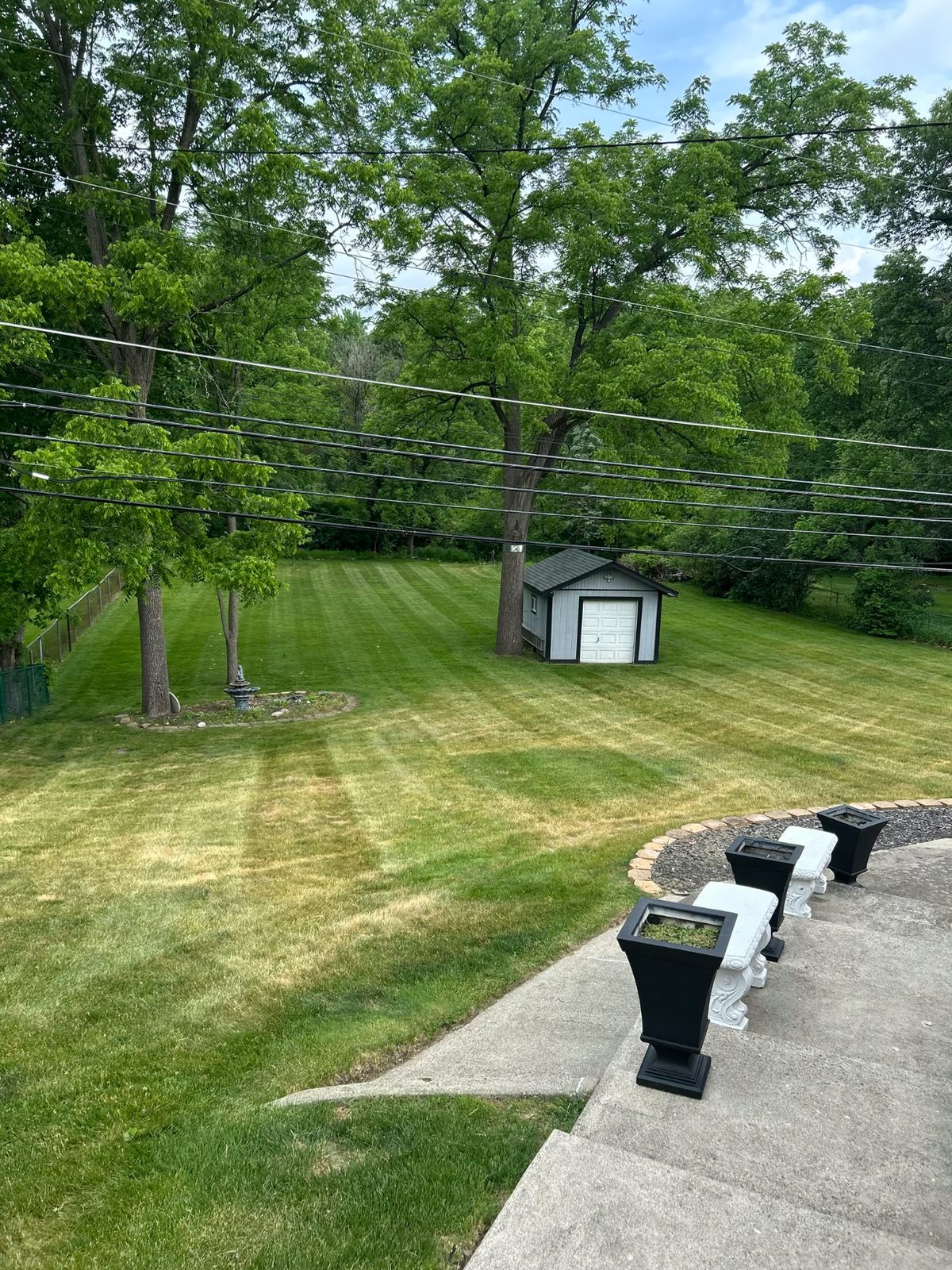 Freshly mowed lawn in Rochester, MI by Mantis Lawn and Landscape