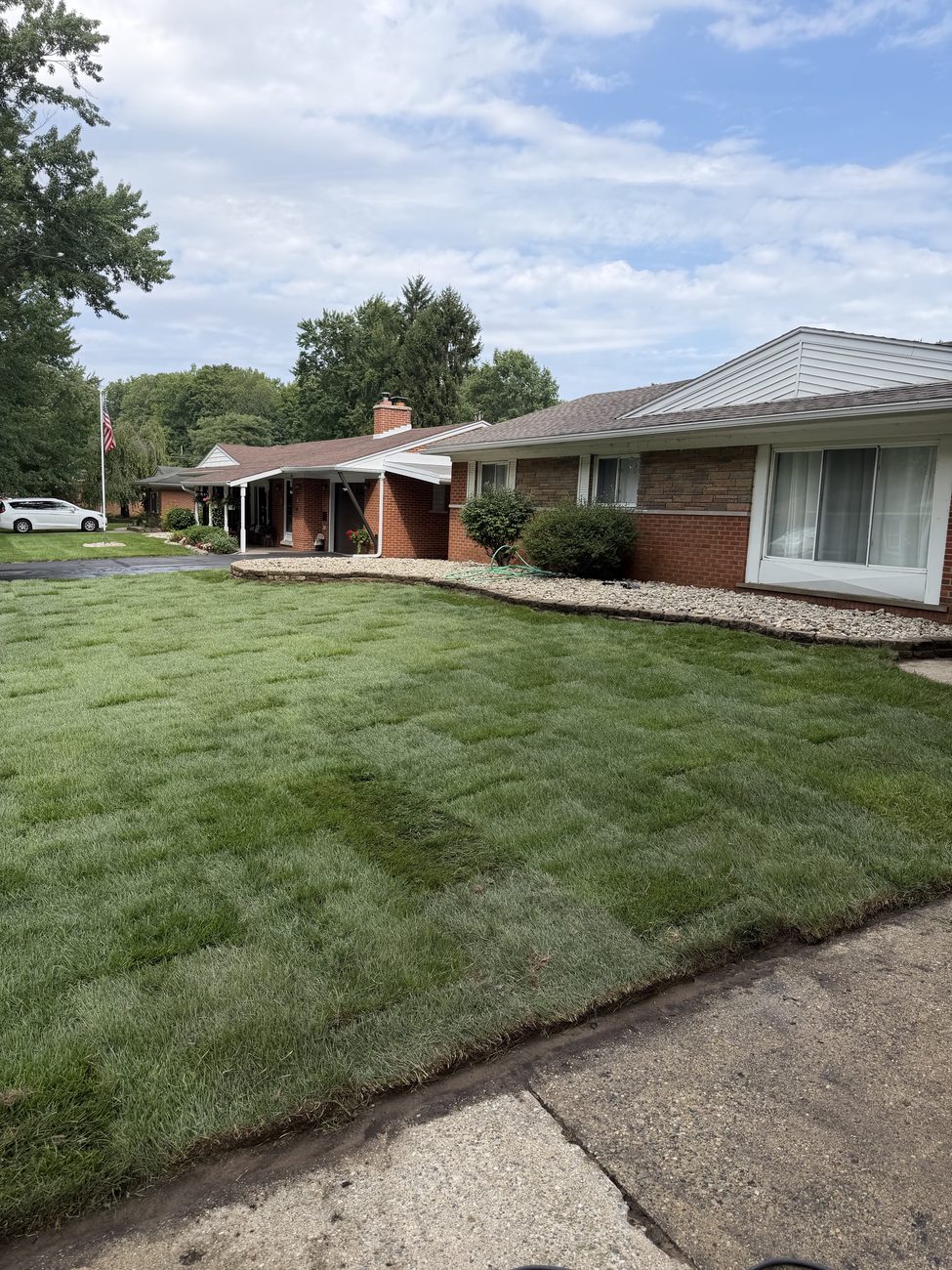 New sod lawn viewed from the curb in Rochester, MI