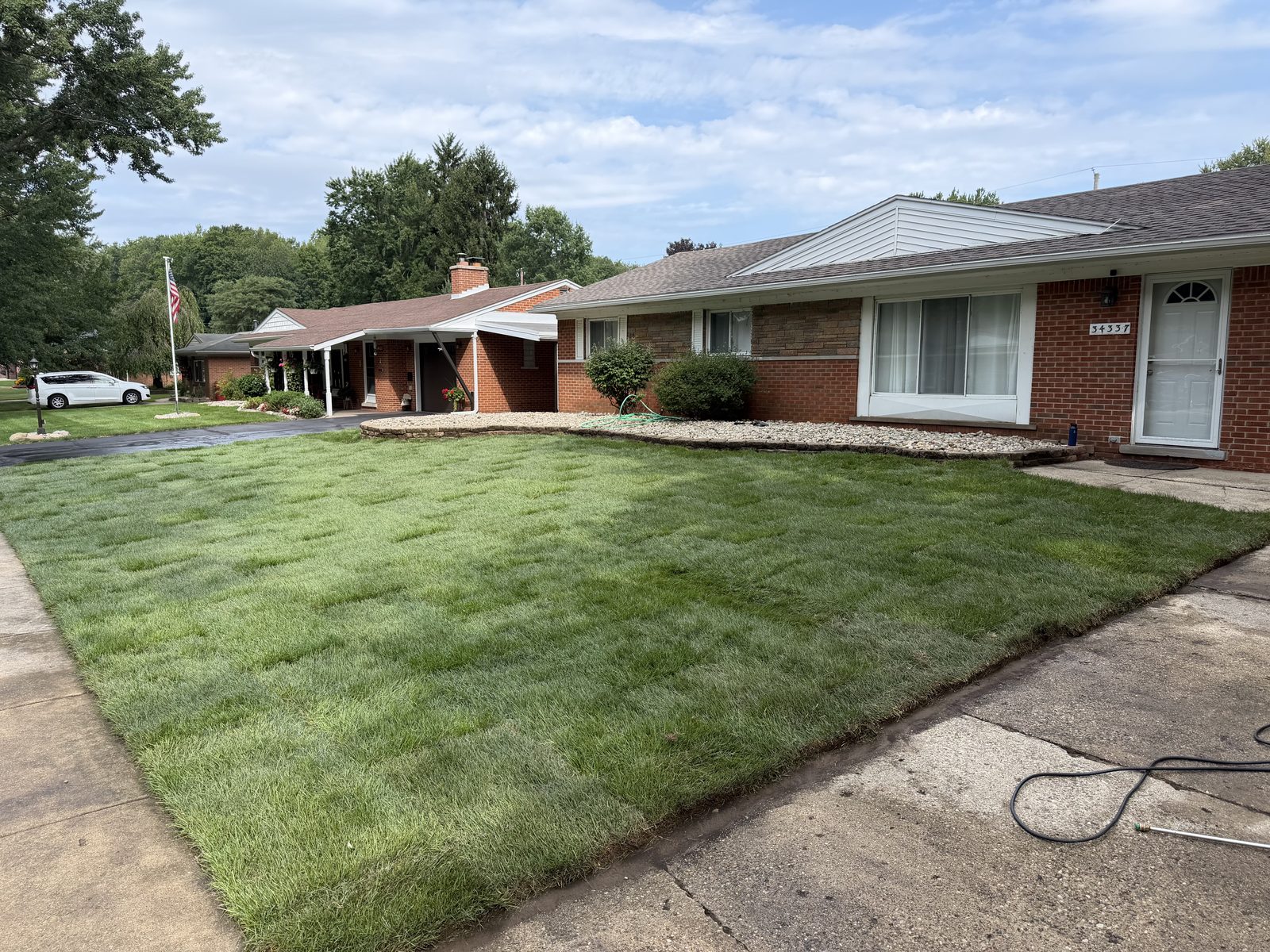 Finished new sod lawn covering the full front yard in Rochester, MI