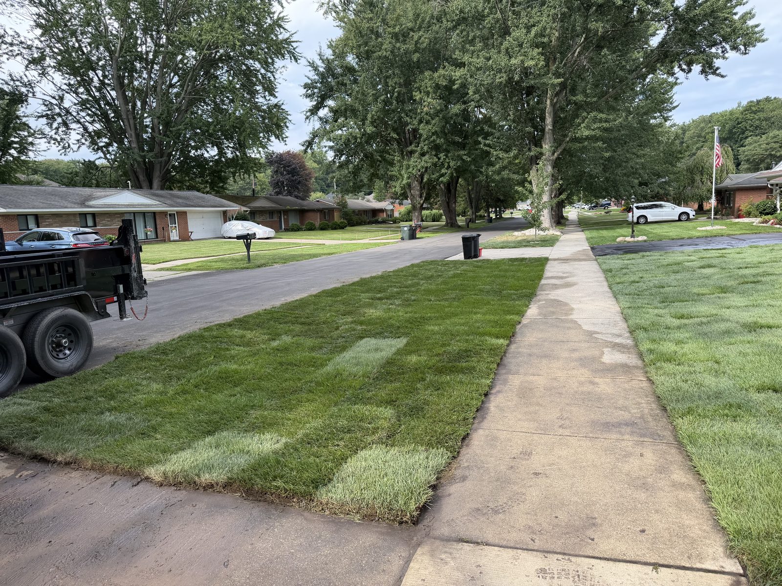 Fresh sod laid along the street edge and sidewalk in Rochester, MI